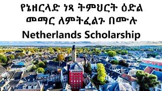 የኔዘርላንድ የትምህርት ዕድል The Maastricht University Scholarships 2025