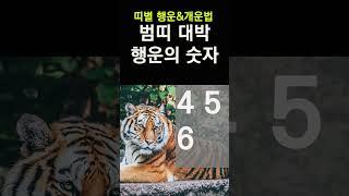 띠별로 보는 행운의 숫자! 호랑이띠에게 돈복 터지는 숫자! 2024년 대박나는 범띠 행운의 숫자&컬러 #띠별운세, #행운의숫자, #행운의컬러, #신년운세, #갑진년운세,