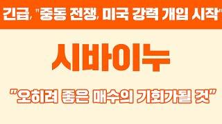 긴급, "중동 전쟁, 미국 강력 개입 시작" 시바이누 "오히려 좋은 매수의 기회가될 것" #시바이누 #시바이누전망 #시바이누코인