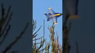Blue Angels sneak pass at sun Francisco Fleet week