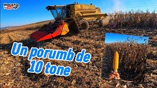 Azi la “ciubuc”  - #NewHolland TF44 cu masă de porumb #Capello #agriculture