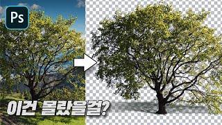 이미지 따는 이 방법을 알까? 초간단 3가지 방법 [예제 파일 제공]