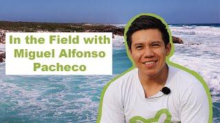 IN THE FIELD | Sea Turtle Conservation with Miguel Alfonso Pacheco