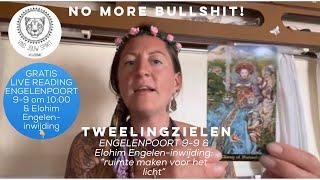 TWEELINGZIELEN 9-9 Engelenpoort & Elohim Engelen-inwijding: “ruimte maken voor het licht”