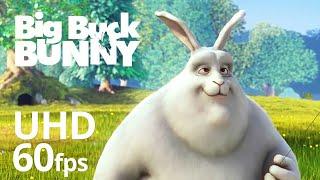 Big Buck Bunny 60 fps 4k! Böyük dovşan çizgi filmi animasiya!