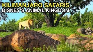 [4K] Kilimanjaro Safaris - African Animals : Animal Kingdom (Orlando, FL)