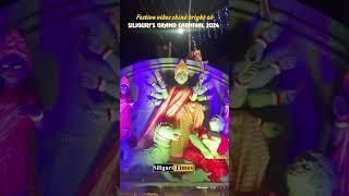 Festive vibes shine bright at Siliguri's grand Durga Puja Carnival 2024