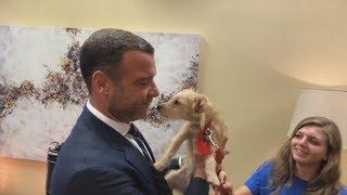 Liev Schreiber Adopts Rescue Puppies from Texas at LIVE