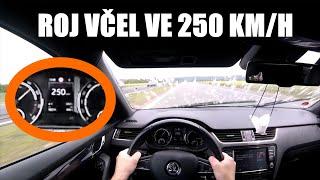 Rozmázl roj včel ve 250 KM/H | GoPro POV