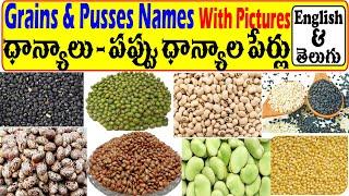 Learn All Grains And Pulses Names In English And Telugu Easily | ధాన్యాలు - పప్పు ధాన్యాల పేర్లు