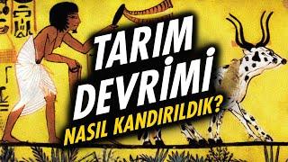 Tarım Devrimi: Tarihin En Büyük Aldatmacası