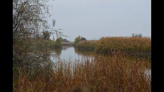 Hiking Volga-Akhtuba floodplain autumn  Волго-Ахтубинская пойма осень