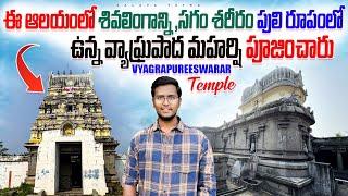 Vyagrapureeswarar temple | స్వయంభుగ వెలసిన ఈ శక్తివంతమైన శివలింగం పై పులి గోరు గుర్తులు ఉన్నాయి