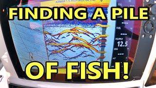 WHY WON’T FISH BITE? The answer is SIMPLE! Did you know this one?