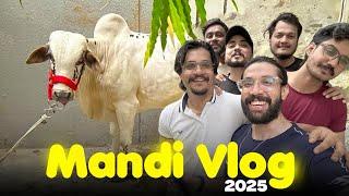 Mandi vlog | qurbani 2025 | finally janwar mil gaya