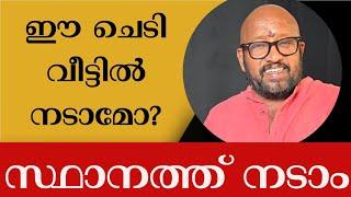 വീട്ടിൽ നാരങ്ങ മരം നടാൻ പാടുണ്ടോ?  ഈ സ്ഥാനത്ത് നട്ടാൽ സർവ്വ ഐശ്വര്യം ലഭിക്കും