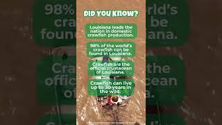 "Did You Know?" Louisiana Crawfish Edition! #twila #louisiana #crawfish  #agriculture #farming #farm