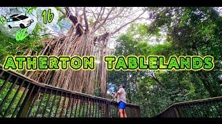 Atherton Tablelands,Queensland, Australia,In to Oz ep 16