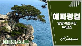 해파랑길 42코스 [죽도정~38선휴게소~하조대~하조대전망대~하조대해변 ]