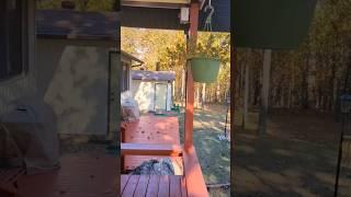 One level, three bedroom home with 3 CAR garage!