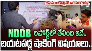 SumanTV Chief Editor Keshav Analysis On Tirupati Ghee NDDB CALF Test Report|Tirumala Laddu #sumantv