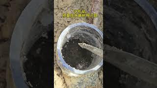 洛杉矶排水管树根堵塞修复