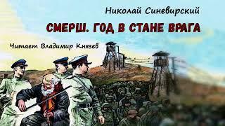 Синевирский Николай (Мондич Михаил) - Смерш. Год в стане врага (читает Владимир Князев)