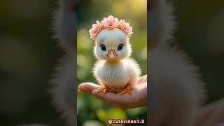 baby cow video #cute #ytshorts #shorts #trending #funny #cat #cow #anmals #dog #dog #youtube #tiger