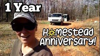 1 Year Anniversary on my Off Grid Homestead - Ann's Tiny Life