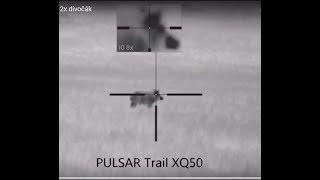 PULSAR Trail XQ50  2x lov divočáka -  Night thermal wild boar hunting - Sau Jagd - Охота на кабана