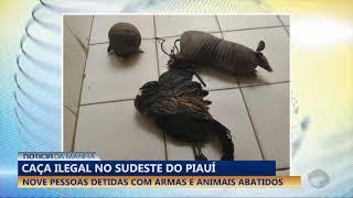 Nove pessoas detidas por caça ilegal no sudeste do Piauí