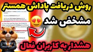 اطلاعیه امروز همستر: پاداش خفن و بزرگ برای همه  اینجوری جایزه همستر رو دریافت کن  آپدیت جدید همستر