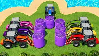 HARVEST, LOAD & MAKE LAVENDER BALES WITH MASSEY FERGUSON TRACTORS & JOHN DEERE HARVESTERS - FS22