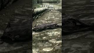 【上古卷軸V】當你第一天嘗試升級 #skyrim #無界天際 #theelderscrollsvskyrim