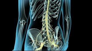 Epidural & Spinal Anesthesia