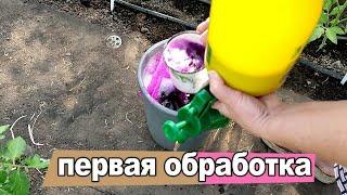 ПОДКОРМКА И ЗАЩИТА ТОМАТОВ И ОГУРЦОВ ПО ЛИСТУ