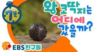 [EBS친구들][명탐정 피트]왕 코딱지는 어디로 갔을까?[피트/바바/몰리/코코/돌프/키키/래비]