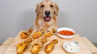 댕댕아~치킨배달왔다 닭다리 뜯자  Dog reviewing chicken ASMR eating show