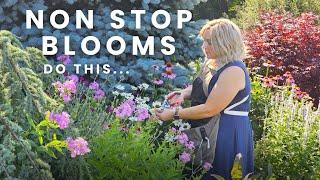 Blooms All Season Long. Deadheading to Produce More Flowers. Keep Your Garden Blooming.