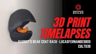 3D Printing Time Lapse - Parrot's Beak Coat Rack - Creality Ender 3 PRO [Octolapse]