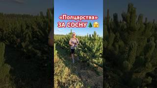 Аттракцион невиданной щедрости