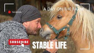 Behind the Barn Doors … A Day in the Life at Our Equestrian Stables 