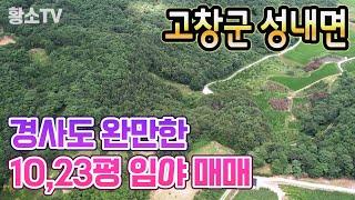 전남토지매매 #1709 고창군 성내면 경사도 완만한 10,321평 임야 매매