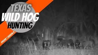 Texas Wild Hog Hunting with Medio Creek Thermal Ep1 S8