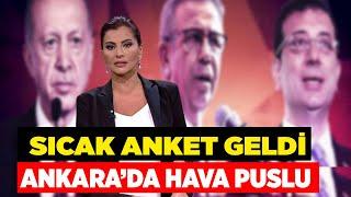 Hande Fırat, sıcak anketi paylaştı! Çıkan sonuçlar hayli ilginç