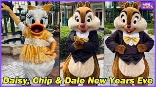 Daisy Duck, Chip & Dale - New Years Eve Surprise Appearance at Disney’s Port Orleans French Quarter