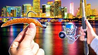 Chasing MONSTER Fish In Urban Miami! (Catch Clean Cook)