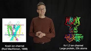 Lecture 01, concept 17: Structure of proteins