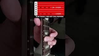 HOW TO PLAY SCAR TISSUE BY RHCP (IF YOUR B STRING SNAPS MID-SONG) #shorts