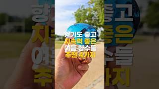 지속력 좋은 여름 향수 4가지
